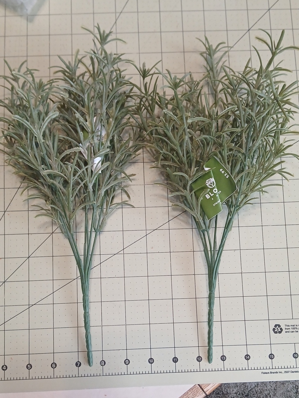 Eucalyptus Bush - Set Of 2